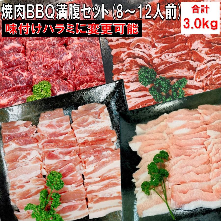 肉 バーベキュー 食材 牛肉 焼肉セット BBQ 肉 ハラミ カルビ バラ 豚トロ バーベキュー 肉 BBQ食材セット BBQ 食材 焼肉 豚肉 牛丼 3kg 8〜12人前