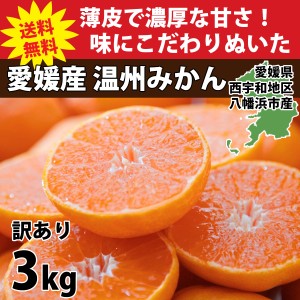 みかん 愛媛 訳あり 3kg 箱買い 八幡浜市 ブランド 産地直送 厳選 人気の品種 旬 甘い 濃厚 ご家庭用  2S～3Lサイズ 15～50玉前後入り 01