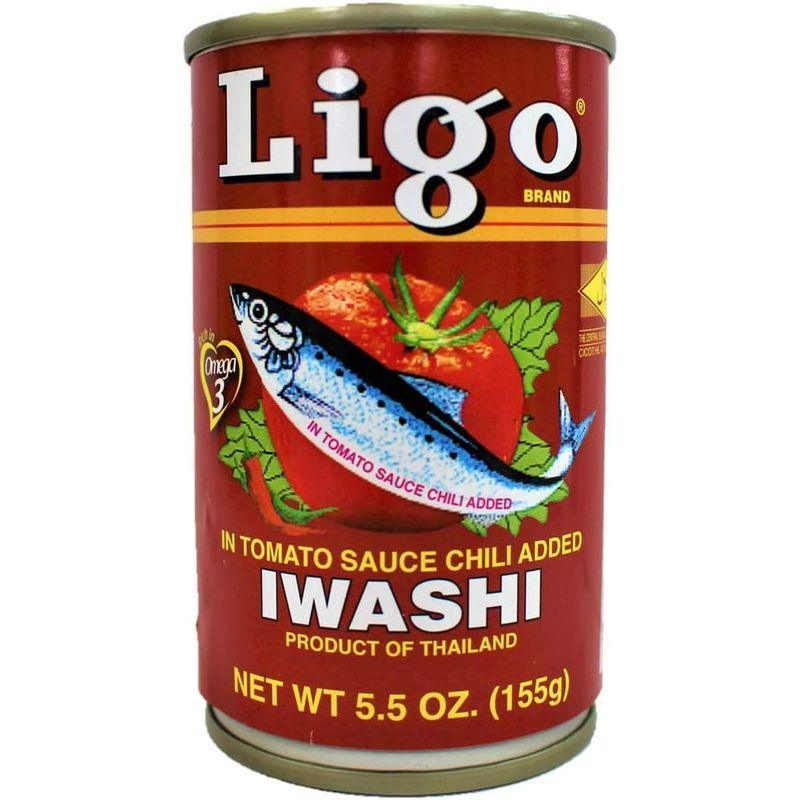 Sardines IN TOMATO SAUCE CHILI ADDED 155g×6 Ligo イワシの缶詰 トマトソース漬け