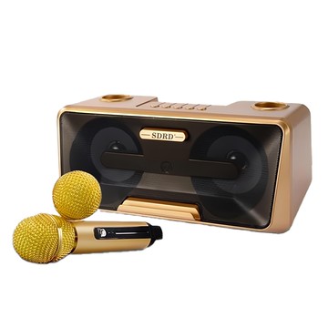 SDRD 第三代貓頭鷹麥克風 無線藍牙雙人麥克風音箱 立體音效  1入  SD-301S