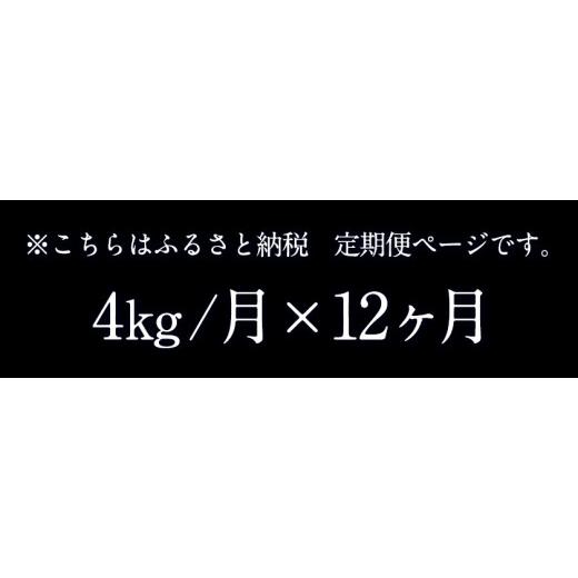 ふるさと納税 福岡県 小竹町 令和5年産 小さな竹美人 7分づき 米 4kg(2kg×2袋) 株式会社コモリファーム《お申込み月の翌月…