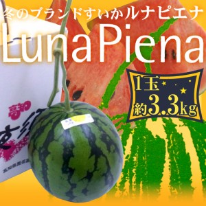 高知県夜須町 温室スイカ ”ルナピエナ” 大玉 約3.3kg 贈答用 送料無料