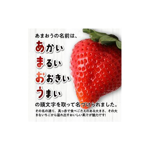 ふるさと納税 福岡県 久留米市 　あまおう　約５６０ｇ（約２８０ｇ×２パック）× １２月〜５月まで計６回　　 冷凍あまおう　１００…