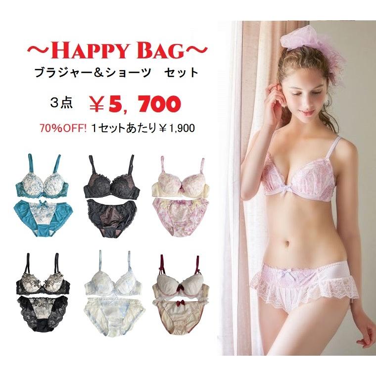 おまかせ ブラジャー 福袋 ナルエー リサマリ 等 下着