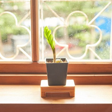 小植栽花台(不含植栽)