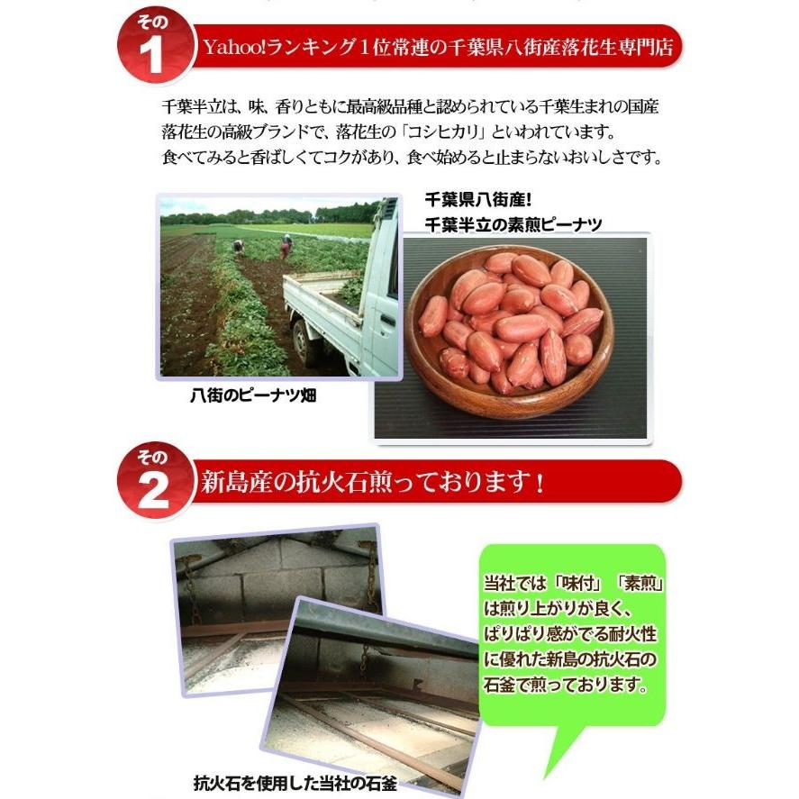 2023年度産 新豆 素煎（千葉半立）400g 千葉県八街産落花生