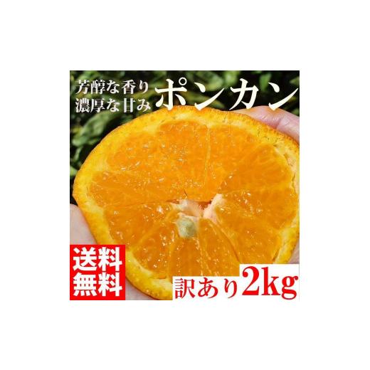 ふるさと納税 和歌山県 有田川町 ぽんかん ポンカン 2kg 訳あり 産地直送 オレンジ フルーツ 果物