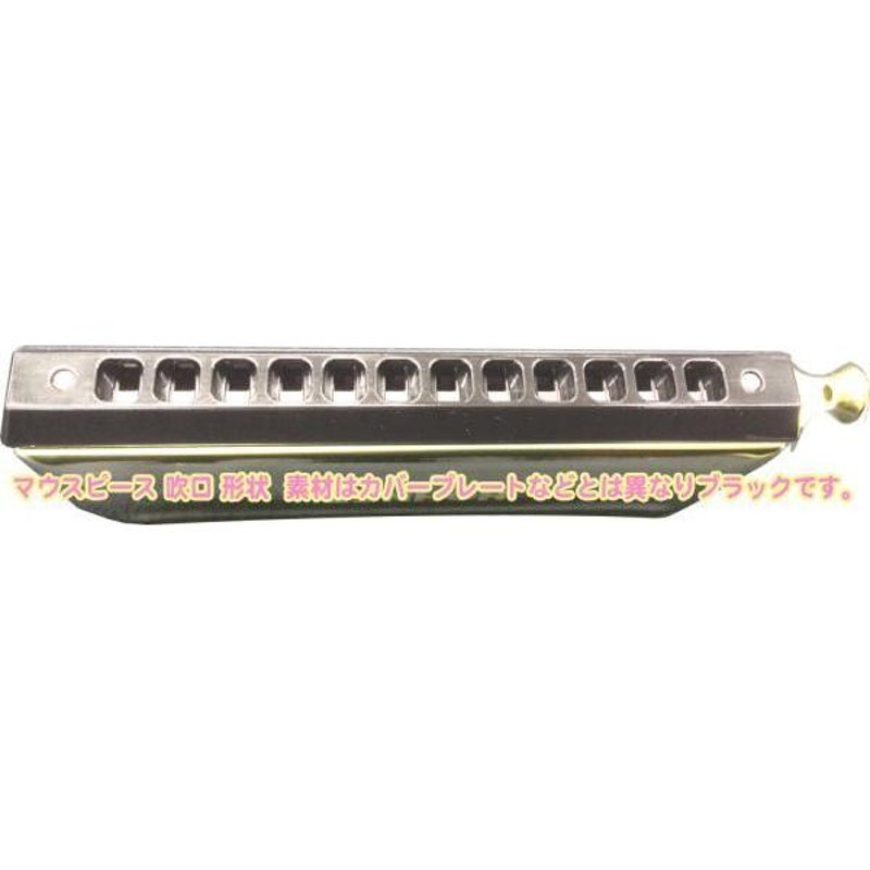 Hohner 7542/48 - Harmonica chromatique Discovery 48 12 trous en Do