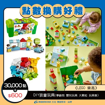 【LEGO 樂高】 DIY孩童玩具