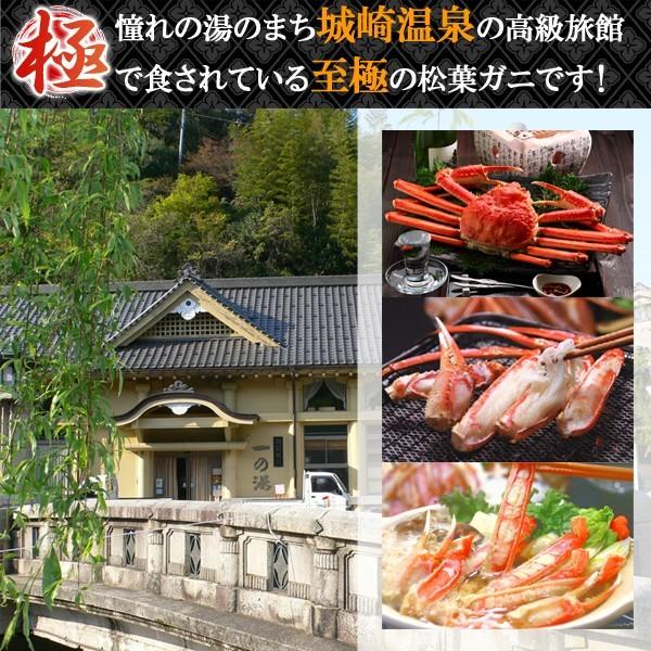 松葉ガニ 約600g 訳あり 津居山・柴山・浜坂産 産地直送 送料無料