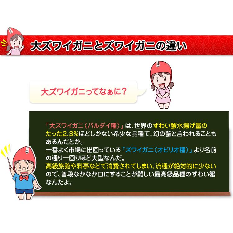 かに カニ 蟹 ズワイガニ 生 超特大10L生大ずわい 半むき身満足セット 1kg超（総重量約1.2kg）