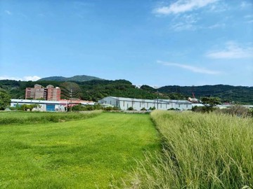 八里台北港都計大面寬美農地｜新北市八里區楓林段