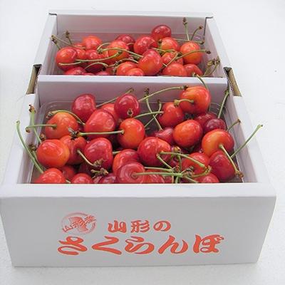 ふるさと納税 村山市 (秀品)山形のさくらんぼ佐藤錦L玉　約1kg(約500g×2P)