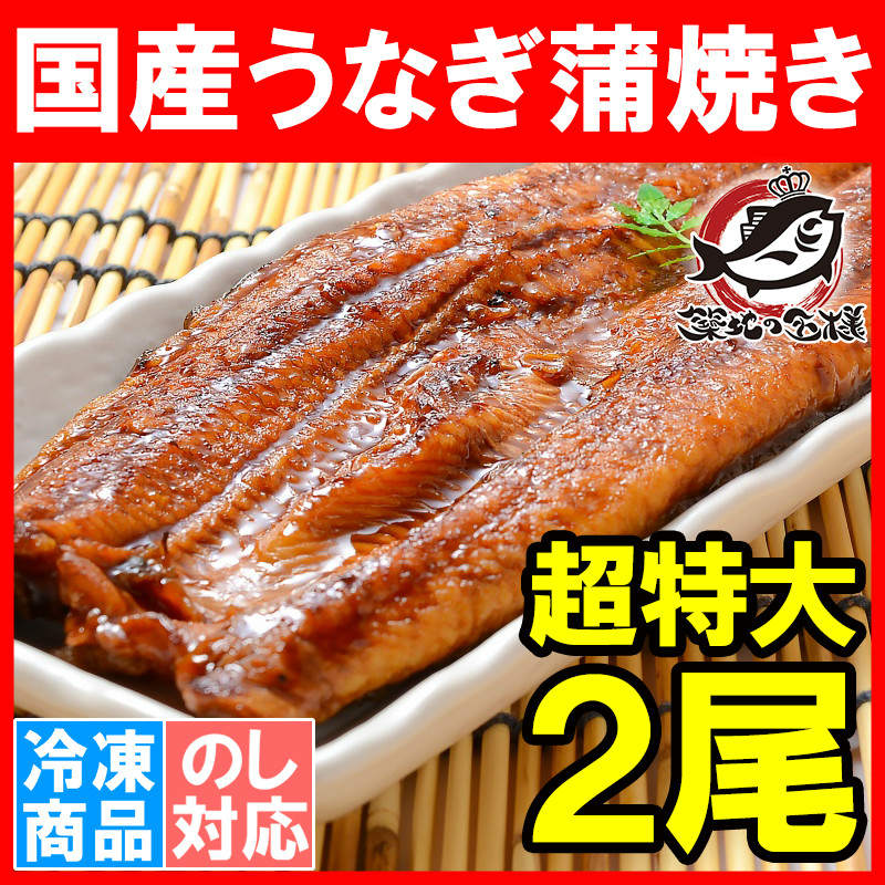 特大うなぎ蒲焼き 平均２５０ｇ前後×２尾 （国産うなぎ ウナギ 鰻）