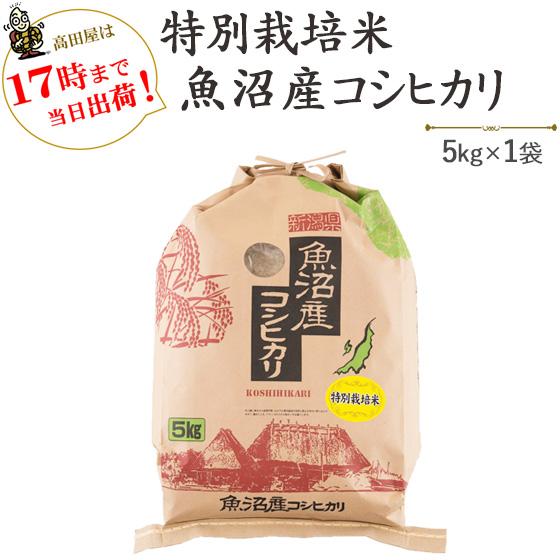 令和５年産　お米 5kg  津南町ゆきやまと農場限定！特別栽培米魚沼産コシヒカリ　5kg×1袋　※送料無料（一部地域を除く）