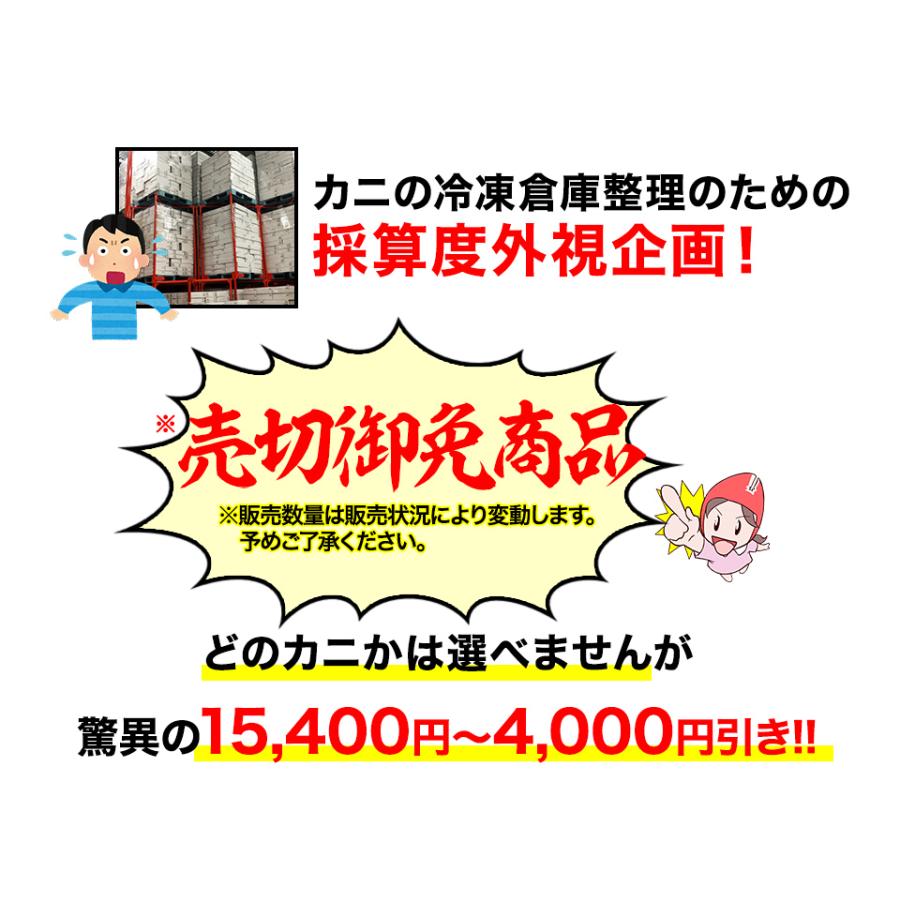 かに カニ 蟹 ズワイガニ 生ズワイガニ 福袋 大感謝かにジャンボ福袋 25,200円〜13,800円の生ずわいがに5種からお届け