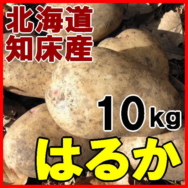 北海道産 新じゃがいも はるか 10kg ジャガイモ 産地直送 送料無料