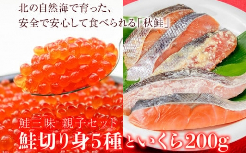 鮭三昧　親子セット　鮭切り身５種10パックとイクラ200g