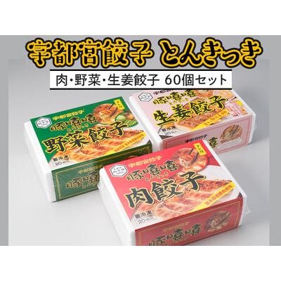 ふるさと納税 宇都宮餃子 とんきっき 20個入り 肉・野菜・生姜餃子 各1箱 栃木県宇都宮市