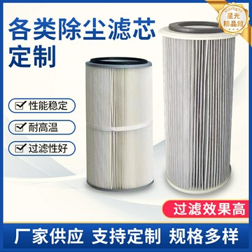 【高效除塵定製】空氣濾芯 除塵濾筒 粉塵濾芯 煙塵濾芯 噴粉濾筒 摺疊式設計 氣體淨化 乾燥過濾 車間設備專用 按需定製