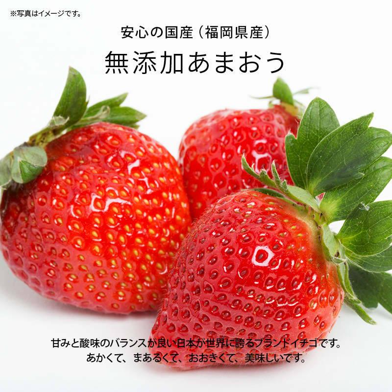 国産 福岡県産 イチゴ (あまおう) 冷凍 1kg(1000g) x 3袋 いちご 苺 甘王 アマオウ 無添加 果実 フルーツ