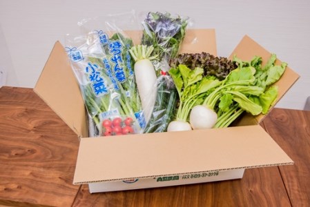 北海道産季節の野菜詰め合わせ 6種類8品 