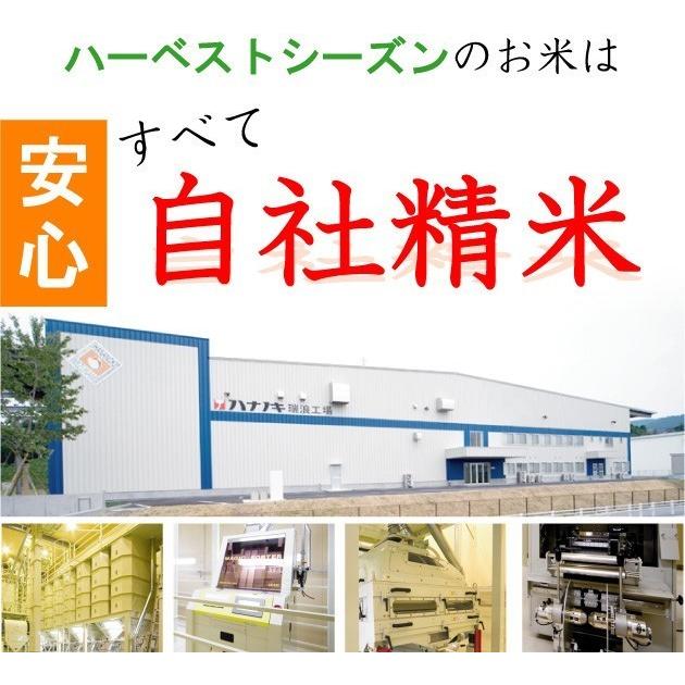 新米 令和5年産 無洗米 5kg×2袋 つや姫 山形県産 10kg 米 お米 送料無料 特別栽培米