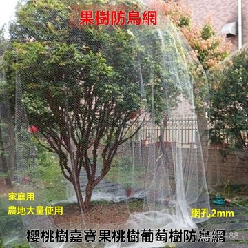 ❄️好物精選丨果樹防鳥網 櫻桃樹枇杷樹嘉寶樹防鳥罩 尼龍網 葡萄園擋鳥攔 鳥網子 家用農用 尼龍網 養殖網 保護網大棚防