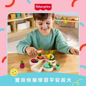 快速出貨【費雪】木製蒙特梭利分類樹｜生日禮物、週歲禮、送禮、玩具、奇哥代理