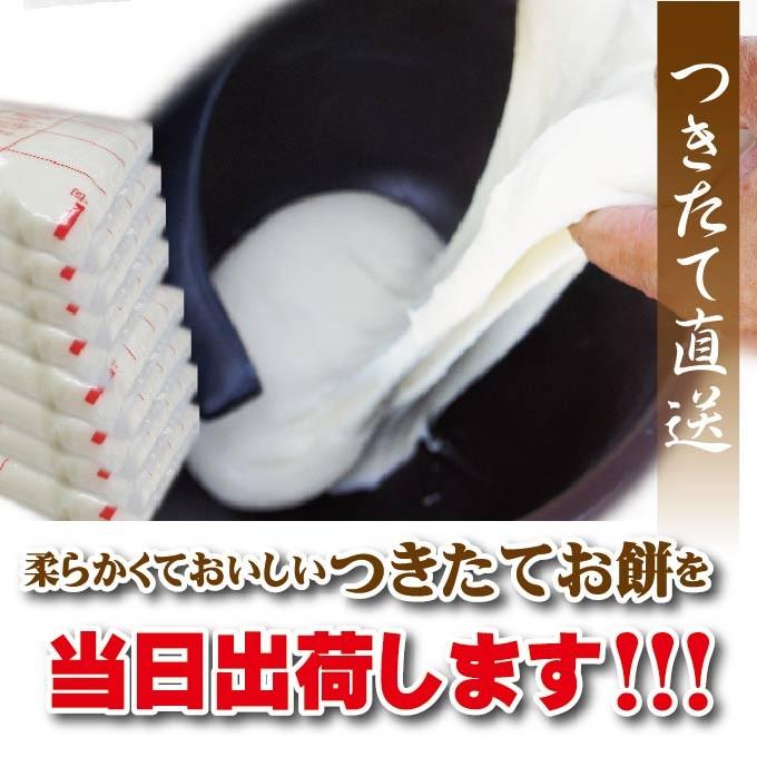 送料無料お正月用のし餅杵つきのしもち1枚当2kg  ※2枚同時購入でもう1枚プレゼント　一等米使用　製造後即日出荷お餅一升餅 切り餅