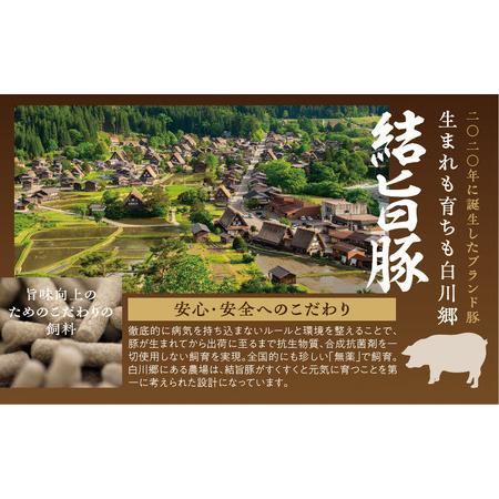 ふるさと納税 白川郷 結旨豚バラブロック 約1kg 豚肉 国産 白川村 400g〜600g×2 真空パック 小分け 角煮 焼肉 ブランド豚 12000円 抗生物質.. 岐阜県白川村