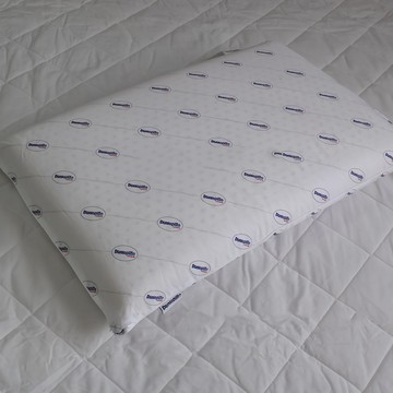 Dunlopillo 鄧祿普 乳膠枕 一般平面乳膠枕  60 x 40 x 10cm  1個