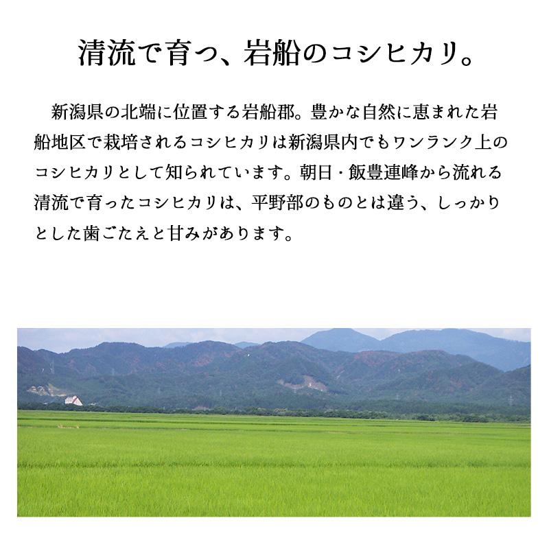 細山商店 岩船産コシヒカリ 5kg 令和3年産