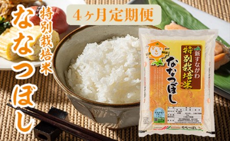 『特別栽培米ななつぼし5kg』定期便！毎月1回・計4回お届け