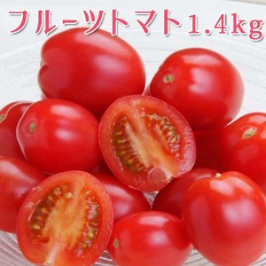 フルーツトマト 1.4kg トマト 高糖度 熊本県産 野菜 通販 家庭用 ギフト