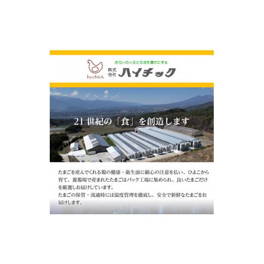 ふるさと納税 山梨県 北杜市 ハイチックのたまご　160個（破卵保証10個含む）