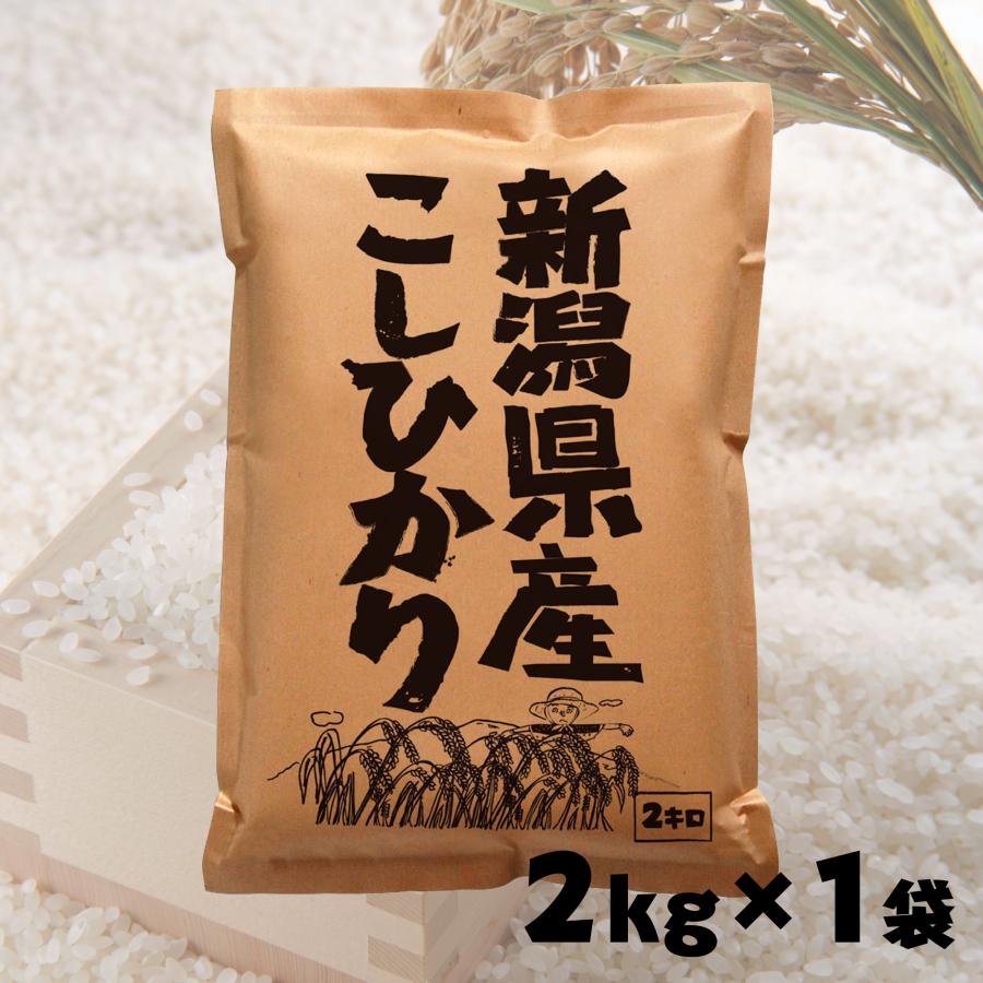 米 2kg お米 新潟県産 こしひかり 5年産 白米