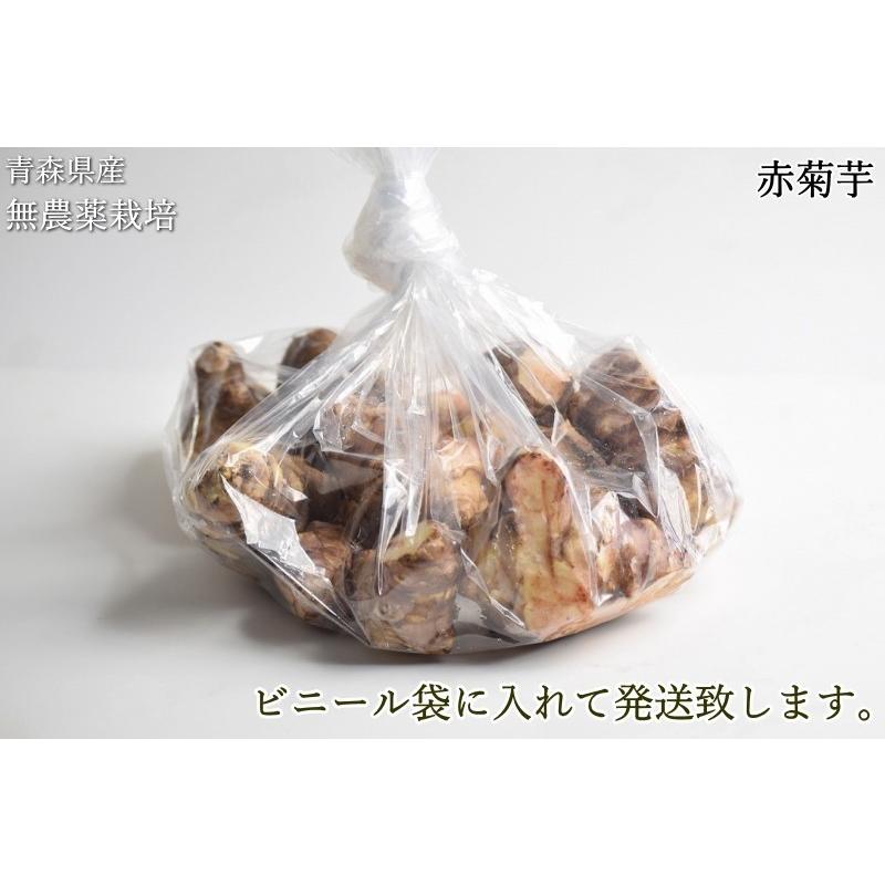 赤菊芋 菊芋 5kg 送料無料 無農薬栽培 化学肥料不使用 洗浄済み 訳あり 不揃い 青森県産 生菊芋 きくいも キクイモ 堀りたて イヌリン