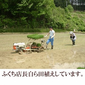 人気沸騰の米 岩手県奥州市産ひとめぼれ 令和5年産 新米 白米 玄米も可 5kg [AC013]