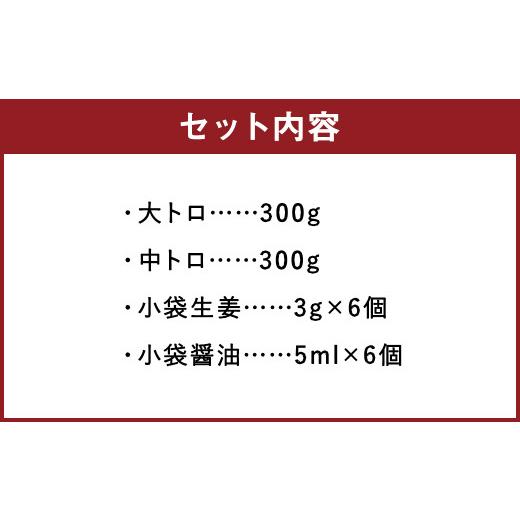 ふるさと納税 熊本県 益城町 大トロ 中トロ 各300g 霜降り 馬刺し 計600g 馬肉