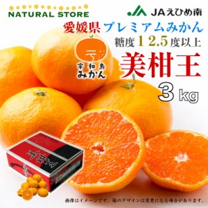 [予約 2024年1月1日必着] 美柑王 宇和島みかん SML 約3kg 愛媛県 うわじま 糖度12.5度 ミカン お正月必着指定 お年賀 御年賀 冬ギフト