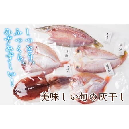 ふるさと納税 福井県産 米かまぼこと鯖蒲鉾と灰干し贅沢7品セット 福井県高浜町