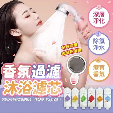 【隔日到貨】香氛蓮蓬頭濾芯  濾水器 淋浴過濾 除氯濾芯 維他命濾芯  淋浴美膚除氯 沐浴過濾棒 家用沐浴過濾 花灑