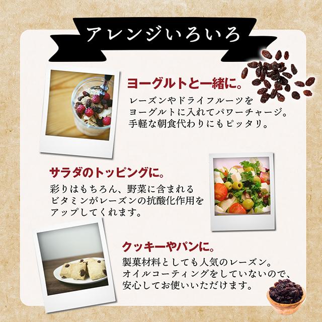 レーズン ノンオイル 砂糖不使用 無添加 無着色 無香料 保存料不使用 ドライフルーツ 送料無料 800g ダイエット おやつ  paypay Tポイント消化