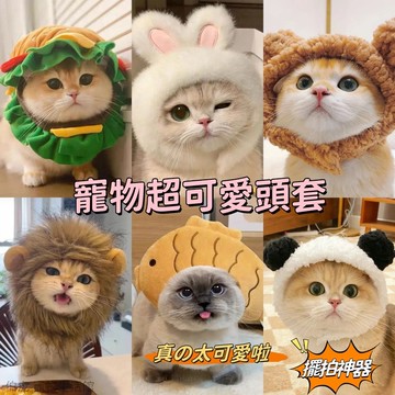 寵物獅子頭套 寵物頭套 狗狗頭套 貓咪拍照頭套 網紅兔耳朵頭套 兔子頭套 貓貓帽子 寵物裝扮 貓咪可愛頭套 貓咪漢堡頭飾
