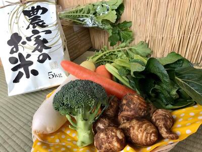 お米と季節の野菜（4～5品）のセット 3ヶ月定期便（KBE-10）