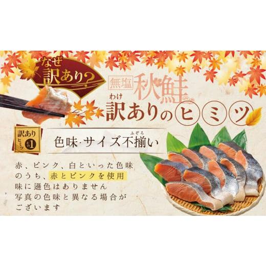 ふるさと納税 北海道 別海町 「秋鮭の切り身（無塩）」2.8kg（ 鮭 切身 鮭 切り身 シャケの切り身 訳ありサケ 訳あり鮭 訳あり秋鮭 …