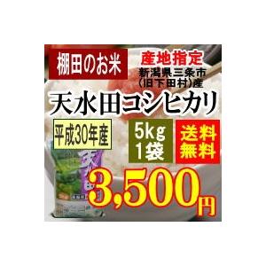 産地指定新潟県胎内市（旧黒川村産） 棚田米 天水田コシヒカリ5kg（令和3年産）