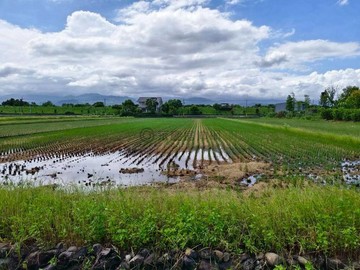 三星近羅東運動公園環境清幽美農地｜宜蘭縣三星鄉新日興段