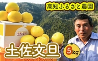 土佐文旦贈答用約5ｋｇ（高知ふるさと農園）